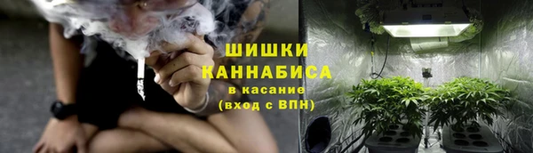трава Вязьма