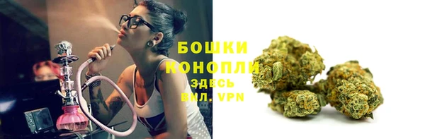 трава Вязьма
