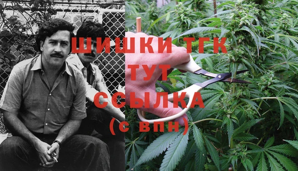 трава Вязьма